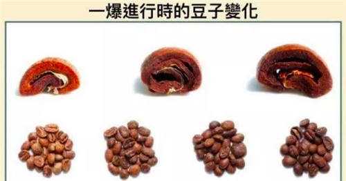 一爆進行時的豆子變化