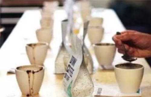 對(duì)咖啡豆樣品進(jìn)行杯測(cè)