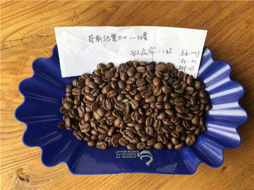 手沖精品咖啡有哪些悶蒸的技巧? 3